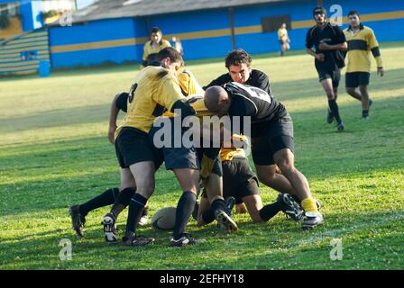 Joueurs de rugby jouant Banque D'Images