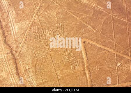 Vue aérienne des lignes de Nazca représentant une araignée, Nazca, Pérou Banque D'Images
