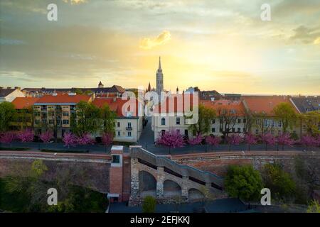 Magnifique phoito aérien de printemps sur le quartier du château royal de Buda. Y compris les cerisiers en fleurs Banque D'Images