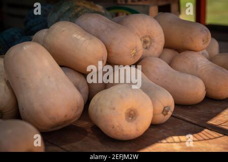 Vente de citrouilles coréennes de culture biologique sur un marché de rue Banque D'Images