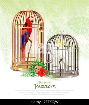 Affiche sur les perroquets du marché aux oiseaux avec des images réalistes d'oiseaux rares dans des cages encombrantes avec illustration vectorielle de texte modifiable Illustration de Vecteur