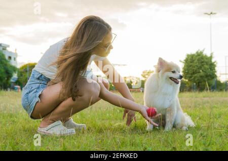 Une belle femme jouant avec le chien Spitz allemand dans le parc d'été Banque D'Images