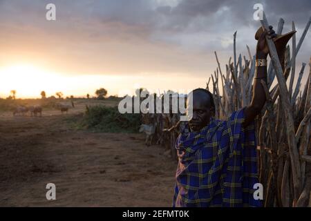 Portrait de l'homme Hamer au lever du soleil : l'homme Hamer dans un champ où le bétail de la tribu se brout. Étant principalement des pasteurs, les prix du groupe Hamer ou Hamar Banque D'Images