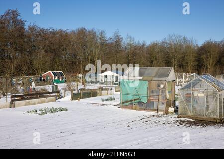 Jardin d'allotement avec brouette en hiver recouvert de neige Banque D'Images