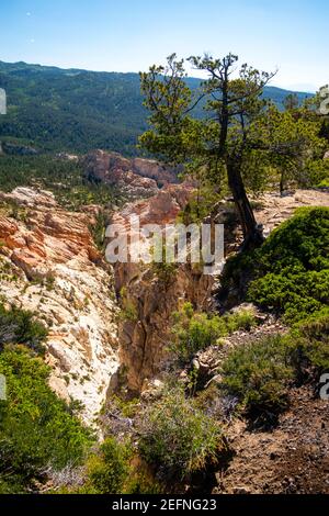 Vue depuis Hells Backbone Road, près d'Escalante et Boulder, comté de Garfield, Utah, États-Unis, lors d'une belle journée d'été. Banque D'Images