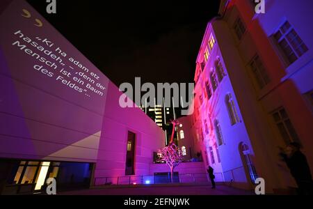 17 février 2021, Hessen, Francfort-sur-le-main: Alors que les mots «Ki ha adam etz hasadeh - car l'homme est un arbre du champ.» sont projetés sur la façade du Musée juif, la sculpture sur l'avant est baignée de lumière colorée. Le Musée juif de Francfort présentera une installation interactive de lumière et de son sur sa piste à partir du 18 février. Les projections peuvent être vues quotidiennement entre 7 et 10 heures autour de la sculpture créée spécialement pour la place, intitulée 'United', qui se compose de deux arbres en fonte d'aluminium, dont l'un atteint dans le ciel avec ses racines. Photo: Arne Banque D'Images