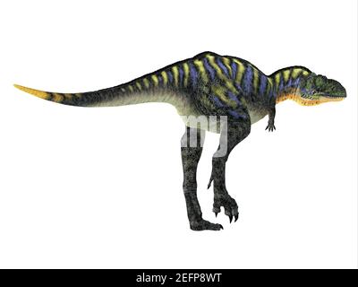 Aucasaurus était un dinosaure théropode carnivore qui vivait en Argentine pendant la période du Crétacé. Banque D'Images