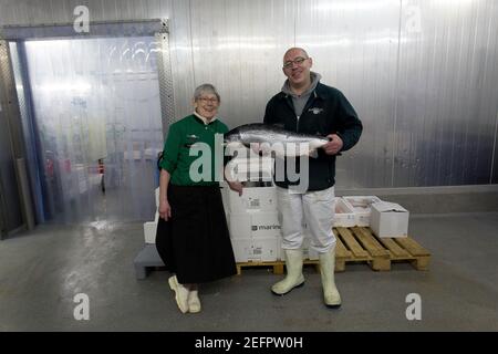 Pêcheurs tenant un gros saumon de l'Atlantique dans son lieu de travail Hanseatic ville de Brême, Allemagne . Banque D'Images