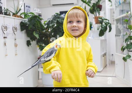 Enfant garçon dans un sweat-shirt à capuche jaune vif, moderne décontracté rires assis sur sa main gris énorme grand cafatoo perroquet domestique. Banque D'Images