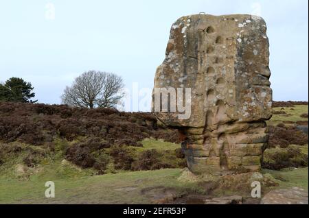 Pierre de Cork sur Stanton Moor qui est un ancien planifié Monument dans le quartier de Derbyshire Peak Banque D'Images