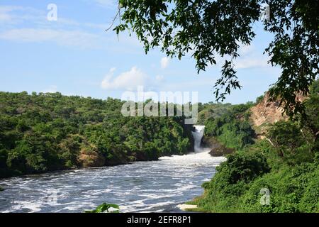 Murchison Falls National Park Ouganda, chute d'eau dans une belle forêt verte avec de l'eau blanche, des rochers, de l'eau rugissante Banque D'Images