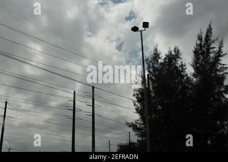 couchage chien Banque D'Images