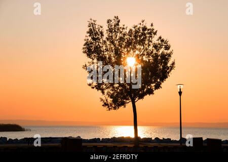 Silhouette d'un bel arbre solitaire et d'un lampadaire sur la côte contre le soleil couchant sur le ciel de coucher de soleil coloré au-dessus de la mer bleue, l'arbre solitaire sur la plage en f Banque D'Images