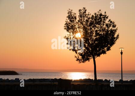 Soleil doré sur un ciel chaud et coloré en creux de la silhouette d'arbre d'automne sur la passerelle de la jetée avec lampe de rue, position basse horizon paysage de lac avec Banque D'Images