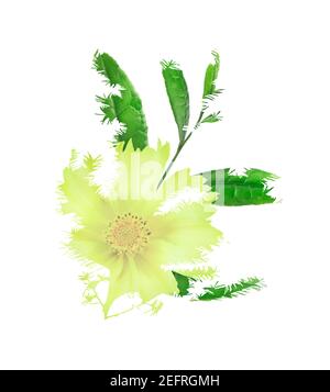 Composition florale abstraite de la fleur jaune Cosmos et des feuilles vertes isolées sur fond blanc. Image de la nature artistique en double exposition. Banque D'Images