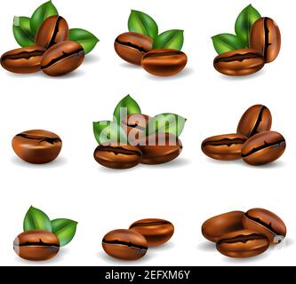 Grains de café torréfiés avec feuilles réalistes isolées sur blanc illustration vectorielle d'arrière-plan Illustration de Vecteur