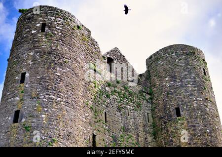 Delvin, Comté de Westmeath, Irlande. Tours sur les ruines du château de Delvin, également connu sous le nom de château de Nugent. Banque D'Images