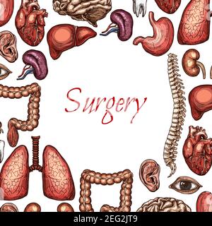 Affiche de chirurgie avec esquisse des organes, des os et des parties du corps humains. Poumons, foie et coeur, cerveau, rein et estomac, colonne vertébrale, yeux et oreilles, dents et intestins Illustration de Vecteur