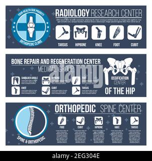 Orthopédie et radiologie soins médicaux et centre de recherche modèles de bannières. Conception plane vectorielle des articulations et des os humains rayons X pour la santé ou b Illustration de Vecteur