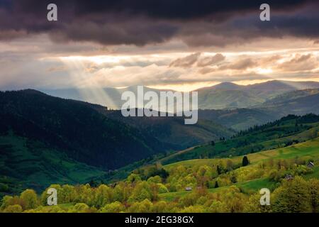 paysage montagneux au coucher du soleil. ciel spectaculaire au-dessus de la vallée éloignée. champs verts et arbres sur la colline. magnifique paysage de la carpe Banque D'Images