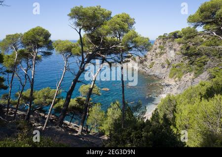 Petite plage, crique, six fours les plages, Var, France, Europe Banque D'Images