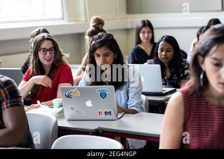 Les étudiantes d'université travaillant sur l'ordinateur en classe, les jeunes adultes en éducation. Banque D'Images