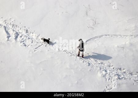 Fille marchant un chien par temps froid de neige, vue de dessus Banque D'Images