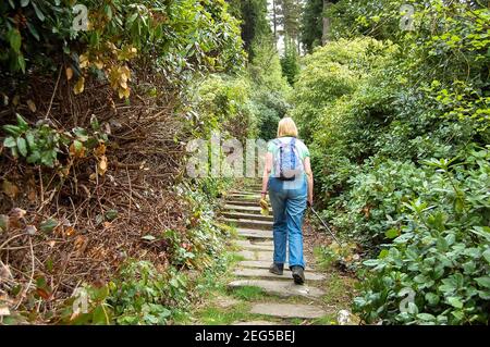 CRAGSIDE Northumberland UK blond girl avec de longs cheveux marchant vers le haut des marches en bois ou forêt buisson arbres jardins jardin clos sac à dos Banque D'Images