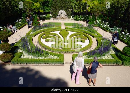 Touristes visitant le jardin français formel avec Topiary Fleur-de-LIS à l'Hôtel Caumont (1715-1742) Musée des Arts et Galerie Aix-en-Provence Provence France Banque D'Images