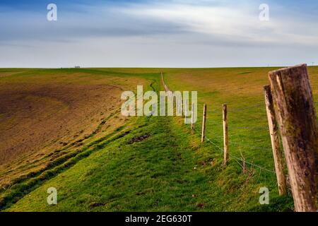 Sommet de la colline de la feuille blanche. Promenade circulaire à Mere Downs lors d'une journée hivernale agiteuse, Wiltshire, Royaume-Uni Banque D'Images