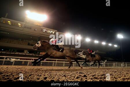 Photo du dossier datée du 01-02-2021 de Scale Force. Date d'émission : jeudi 18 février 2021. Banque D'Images