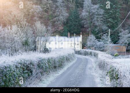 Le givre se forme le long d'une ruelle de campagne menant au pont Halfpenny au-dessus de la rivière exe dans la vallée de l'exe à Bampton, Devon, Angleterre. Banque D'Images