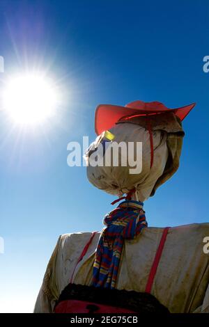 L'épouvantail se dresse haut contre un ciel bleu vif lors d'un après-midi ensoleillé dans un cadre rural, Auvergne-Rhône-Alpes, France Banque D'Images