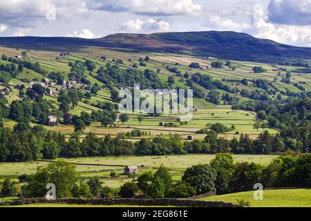 Vue panoramique sur Swaledale, parc national de Yorkshire Dales, près du village de Low Row Banque D'Images