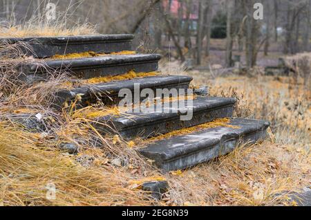 Un ancien escalier en pierre recouvert de mousse jaune et surcultivé avec de l'herbe en automne Banque D'Images