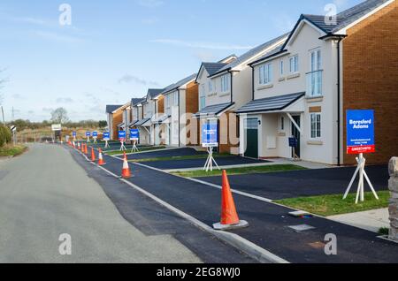 Caerwys, Flintshire; Royaume-Uni: 11 févr. 2021: De nouvelles maisons individuelles construites avec une ligne d'agents immobiliers de vente de panneaux à la périphérie du village sont commercialisés par Banque D'Images