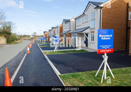 Caerwys, Flintshire; Royaume-Uni: 11 févr. 2021: De nouvelles maisons individuelles construites avec une ligne d'agents immobiliers de vente de panneaux à la périphérie du village sont commercialisés par Banque D'Images