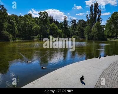 Grand lac dans le parc Ujazdowski de Varsovie avec canards et pigeons Banque D'Images
