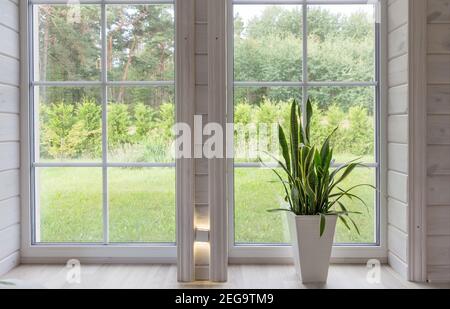 Photo studio lumineux intérieur avec grande fenêtre, haut plafond, plancher en bois blanc Banque D'Images