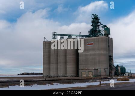 Vulcan (Alberta) - le 17 janvier 2021 : élévateur de grain Pioneer à Vulcan (Alberta). Banque D'Images