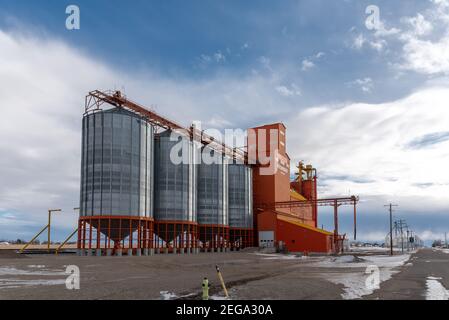 Vulcan (Alberta) - le 17 janvier 2021 : élévateur de grain Pioneer à Vulcan (Alberta). Banque D'Images