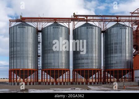 Vulcan (Alberta) - le 17 janvier 2021 : élévateur de grain Pioneer à Vulcan (Alberta). Banque D'Images