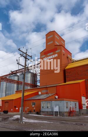 Vulcan (Alberta) - le 17 janvier 2021 : élévateur de grain Pioneer à Vulcan (Alberta). Banque D'Images