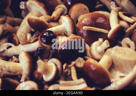 Vue sur un groupe de champignons du miel frais une plaque Banque D'Images