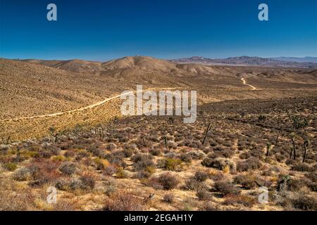 Jawbone Canyon Road, près de Hoffman Summit, Jawbone–Butterbredt zone de préoccupation environnementale critique, Sierra Nevada, désert de Mojave, Californie, États-Unis Banque D'Images