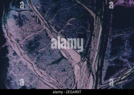 Gros plan sur de magnifiques feuilles abstraites dans une lumière néon colorée. Concept de style moderne minimaliste. Motif Dark Background pour le design. Vue Macro. Banque D'Images