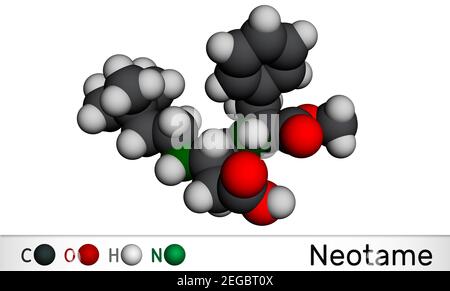 Néotame, édulcorant, molécule E961. Il est dipeptide avec liaison peptidique, édulcorant artificiel, aspartame analogique. Modèle moléculaire. Rendu 3D. Banque D'Images