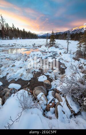 Source chaude au lac Beauvert, parc national Jasper Banque D'Images