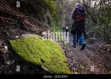 LIVOURNE, ITALIE - 25 FÉVRIER 2020: Personne inconnue fait de la randonnée le long du sentier pendant la randonnée dans les bois des collines de Livourne du Palazzine à Banque D'Images