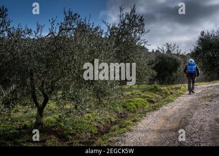 LIVOURNE, ITALIE - 25 FÉVRIER 2020: Personne inconnue fait de la randonnée le long du chemin d'oliveta pendant le trekking dans les bois et les chemins des collines de Livourne Banque D'Images